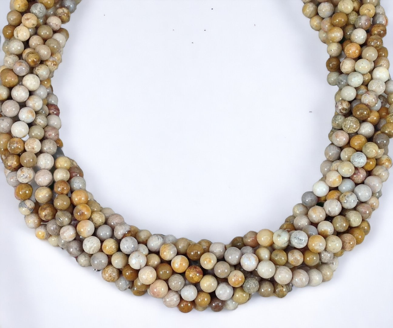Fossil Coral Round-0